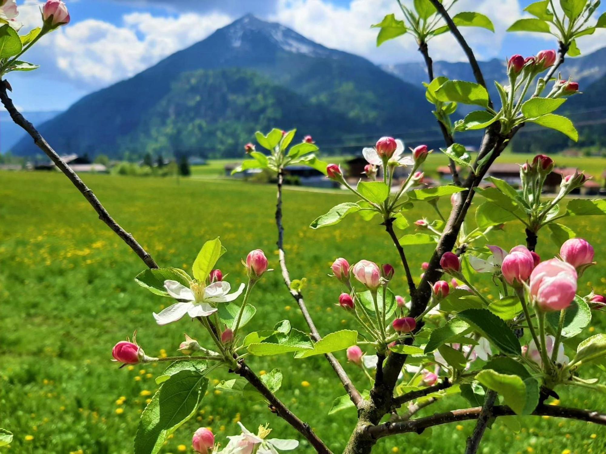 Pulvererhof อาเคนเคียร์ค ภายนอก รูปภาพ